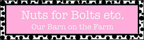 Thanks to YOU Week! 4th Blogiversary: Nuts for Bolts etc. Giveaway