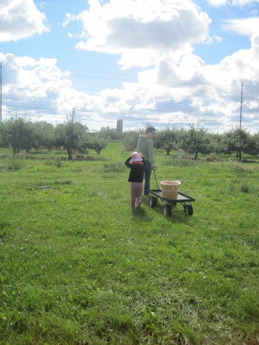 Apple Picking 2