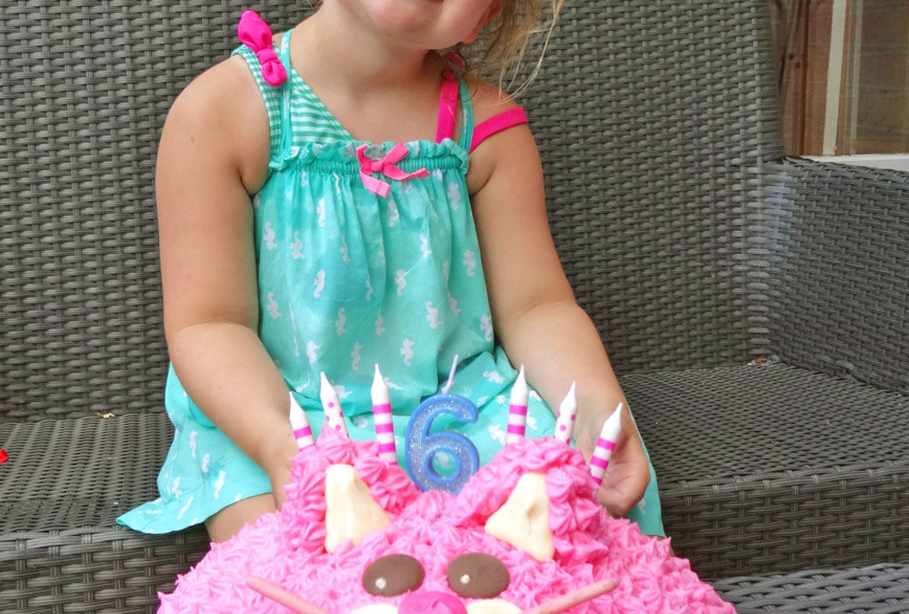 My Six Year Old’s Cat Birthday Party