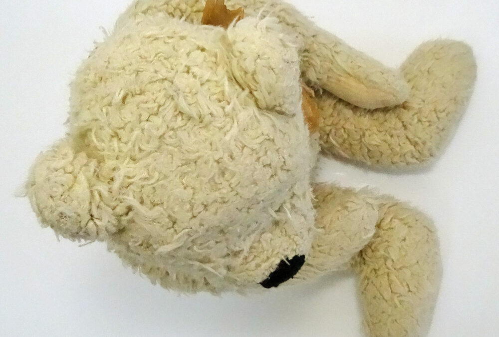 Tale of a Teddy Bear